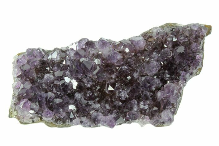 Dark Purple, Amethyst Crystal Cluster - Uruguay #171809